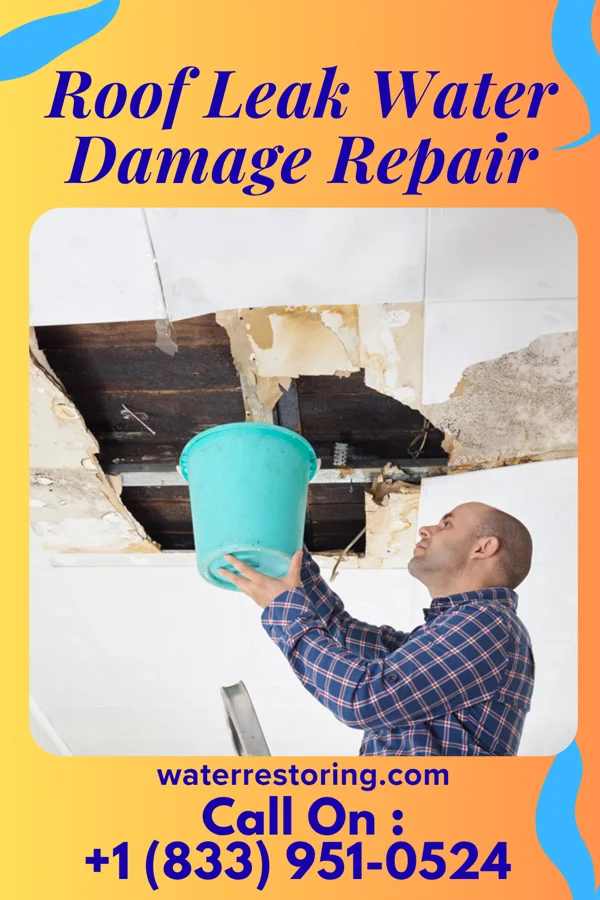 Roof Leak Water Damage Repair in Pingree Grove, IL