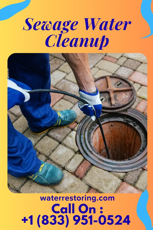 Sewage Water Cleanup in Pingree Grove, IL